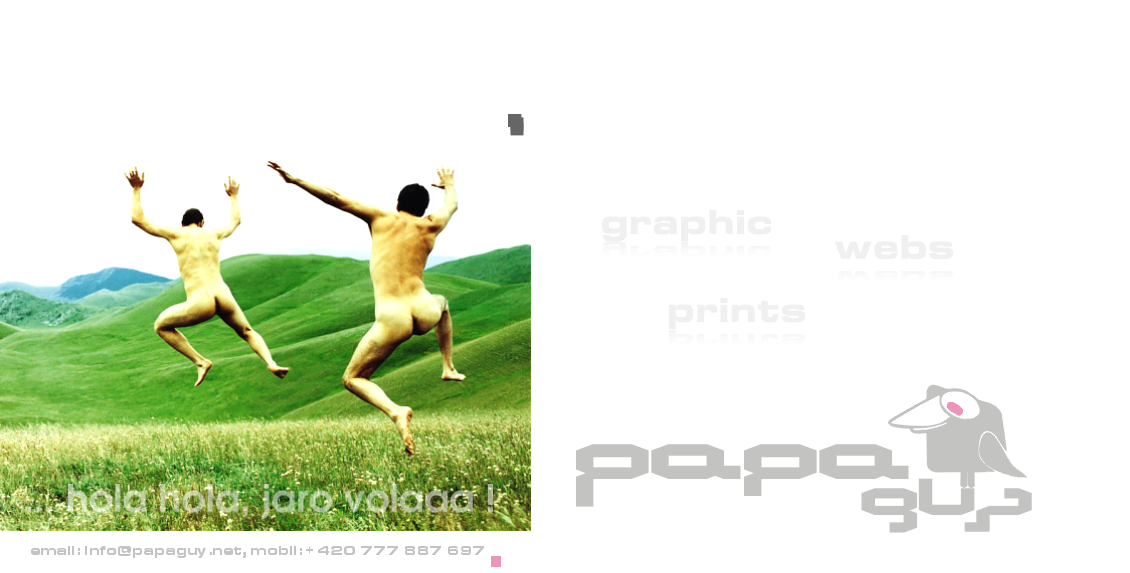 papaguy.net - graphic, prints, webdesign, hosting and more ...